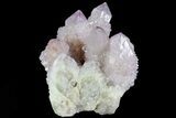Cactus Quartz (Amethyst) Cluster - South Africa #80014-3